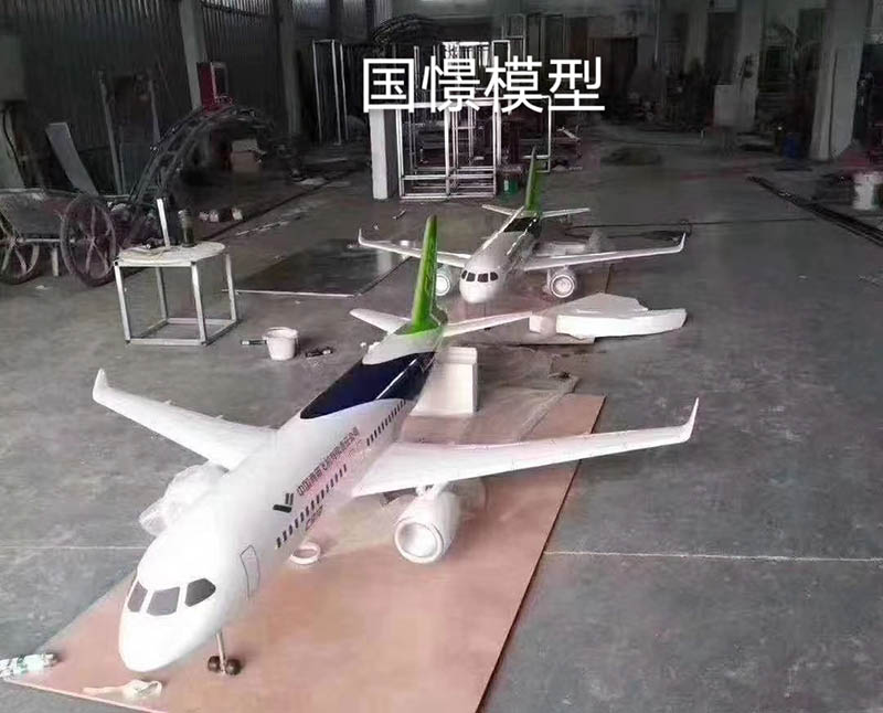 绥阳县飞机模型
